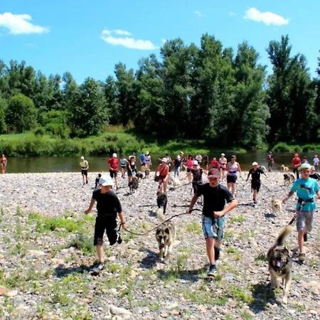 L'oree Du Pichier Boisset (Haute-Loire)
